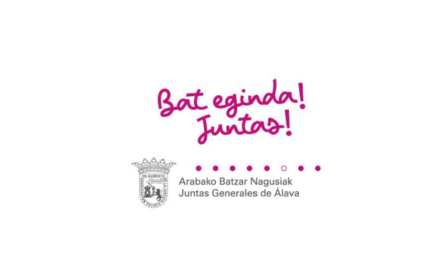 Visita guiada Juntas Generales de Álava /  Bisita Gidatua Batzar Nagusiak