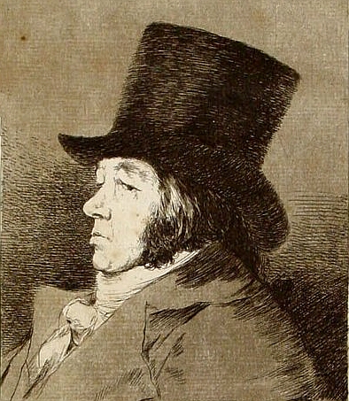Visita guiada Goya Bisita gidatua