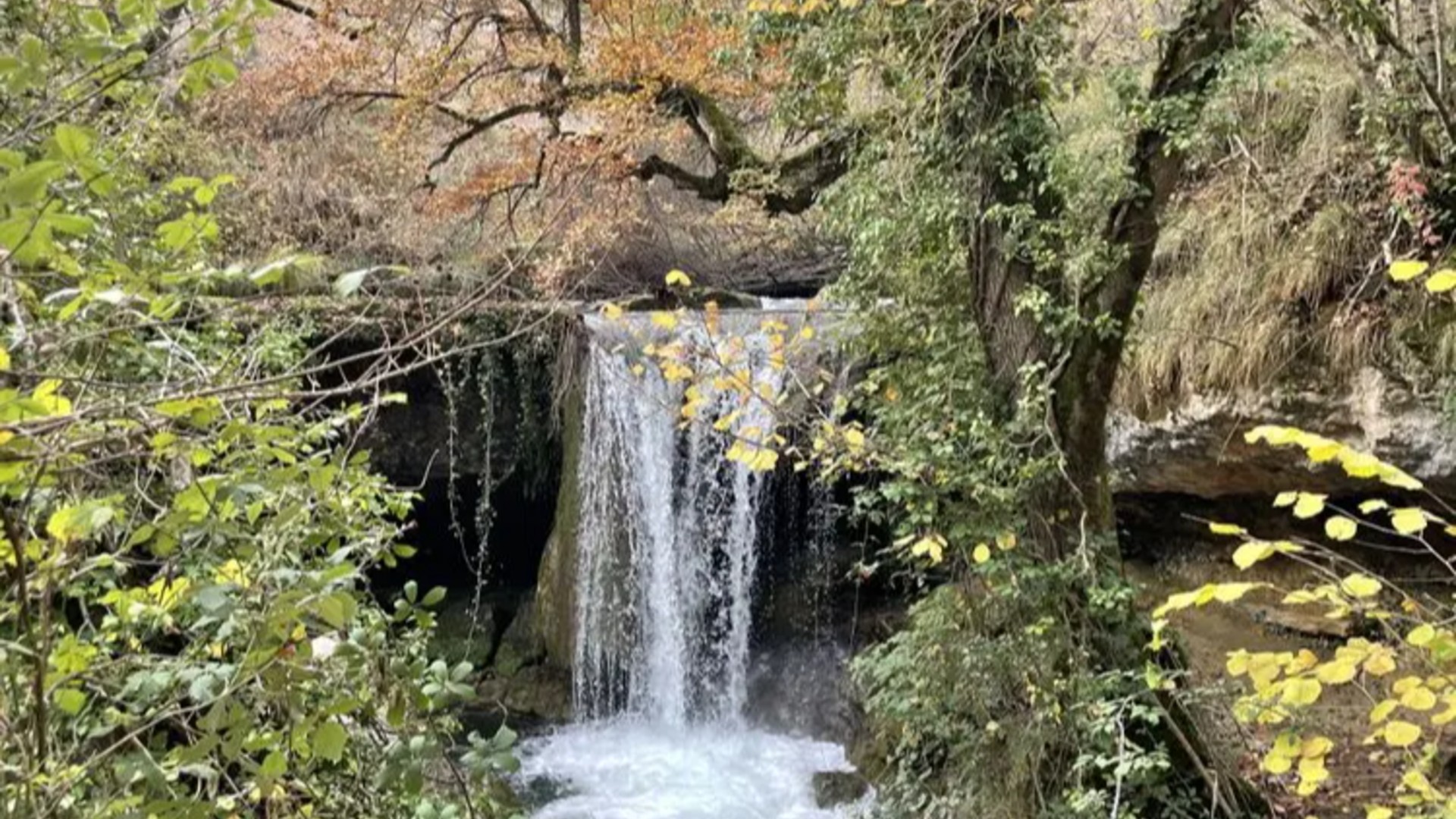 Recorrido natural «Viejos robles de Sáseta»