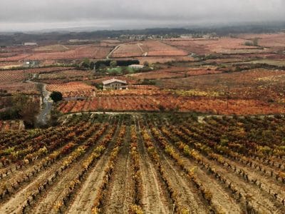 Imagen de viñedos y paisaje de montañas.
