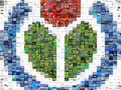 WikimediaMosaicCapture