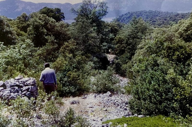 Restos de la muralla del castro Cividad de Angostina, Álava.