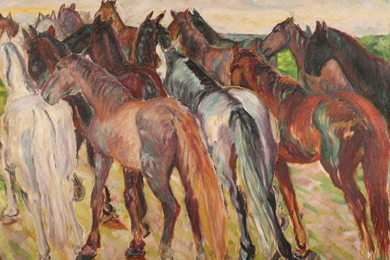 Potros en el campo otoño km0