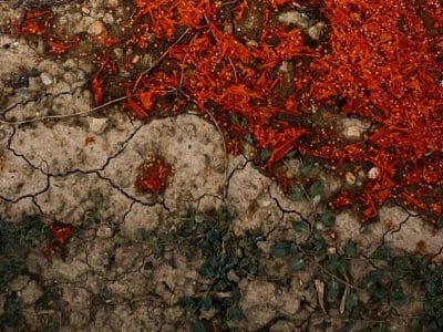 sobre-la-tierra-bajo-la-sombra