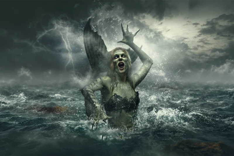 El terror vuelve a Donostia